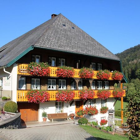 Ferienwohnung Talblick Todtmoos Exterior photo